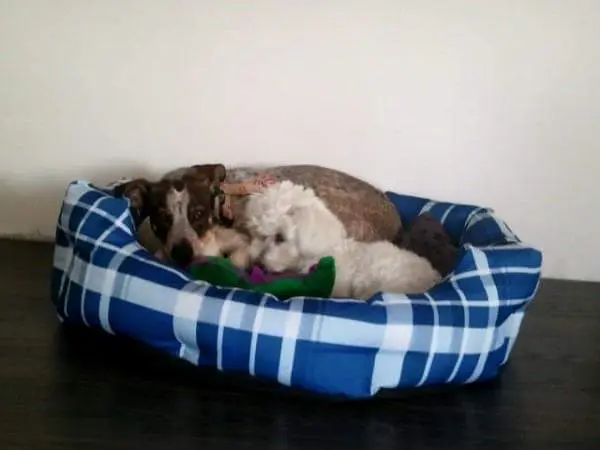 Image from Ellie