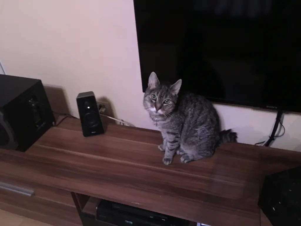 Image from Felix