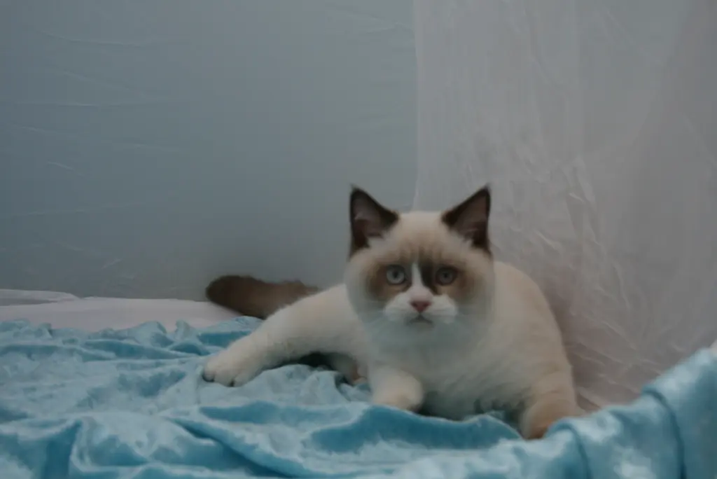 Image from Lance-Theodor "Theo"
