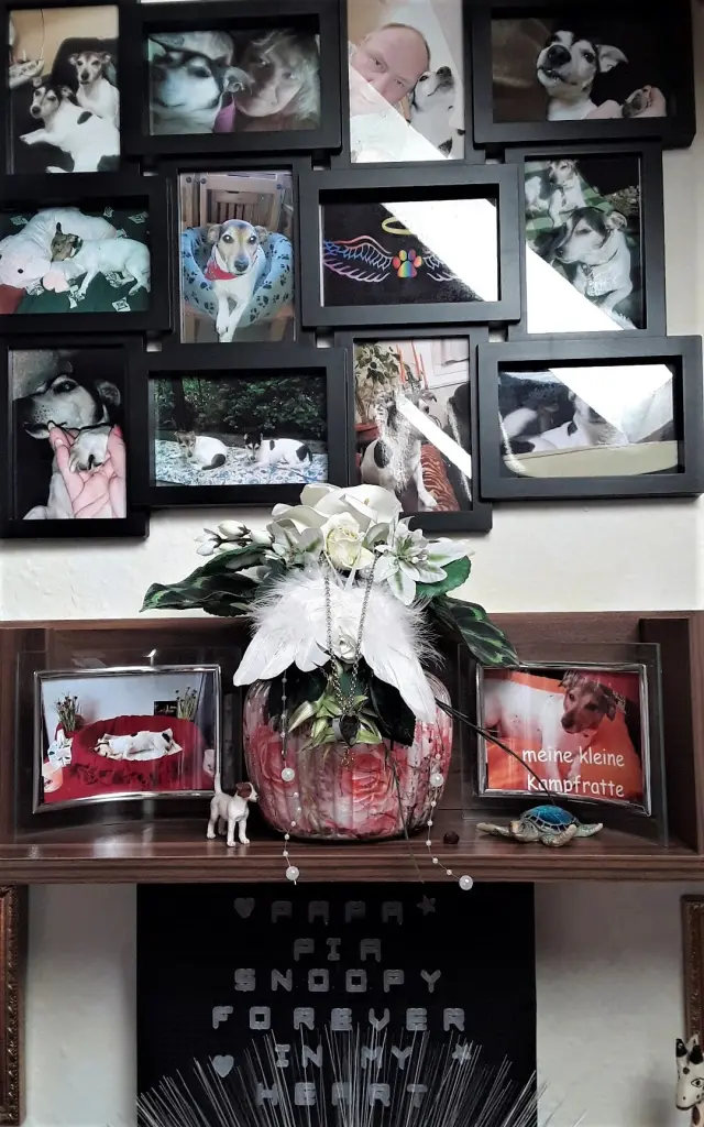 Condolence image of Dein Frauli