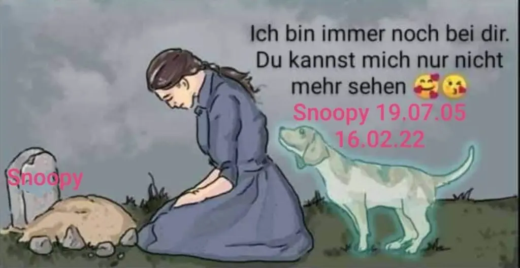 Condolence image of Dein Frauli