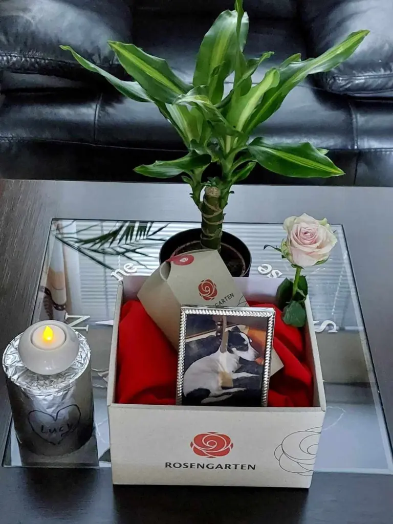 Condolence image of Dein Frauli mit Herrli