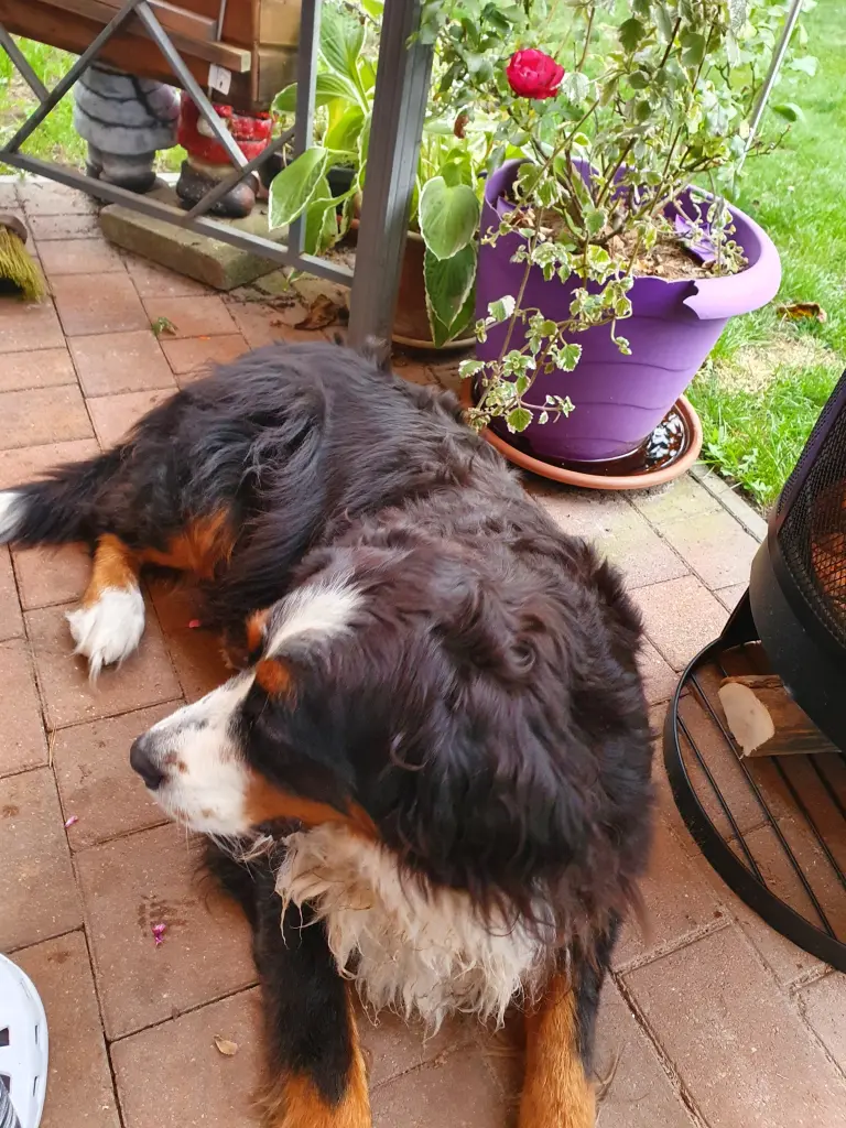 Condolence image of Winfried