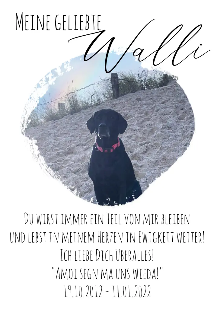 Image from Walli