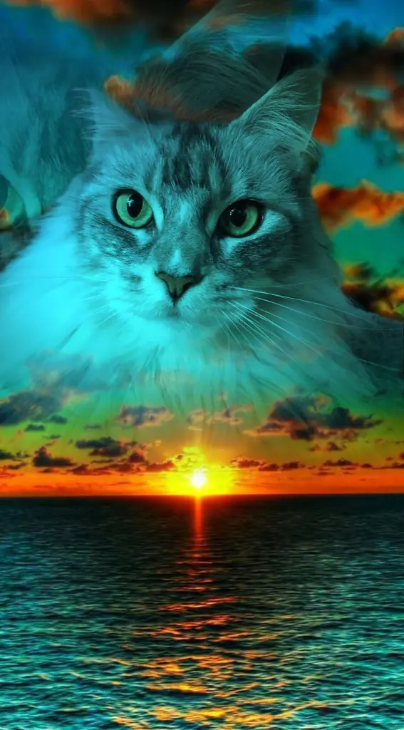 Condolence image of Claudia