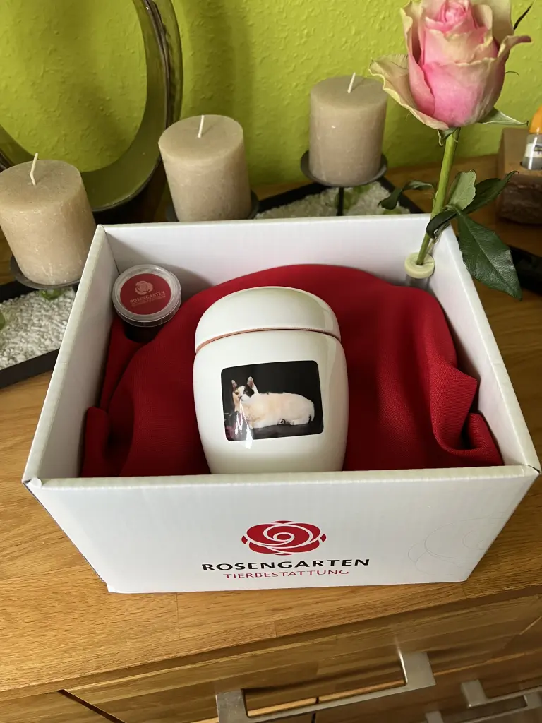 Image from Uschi