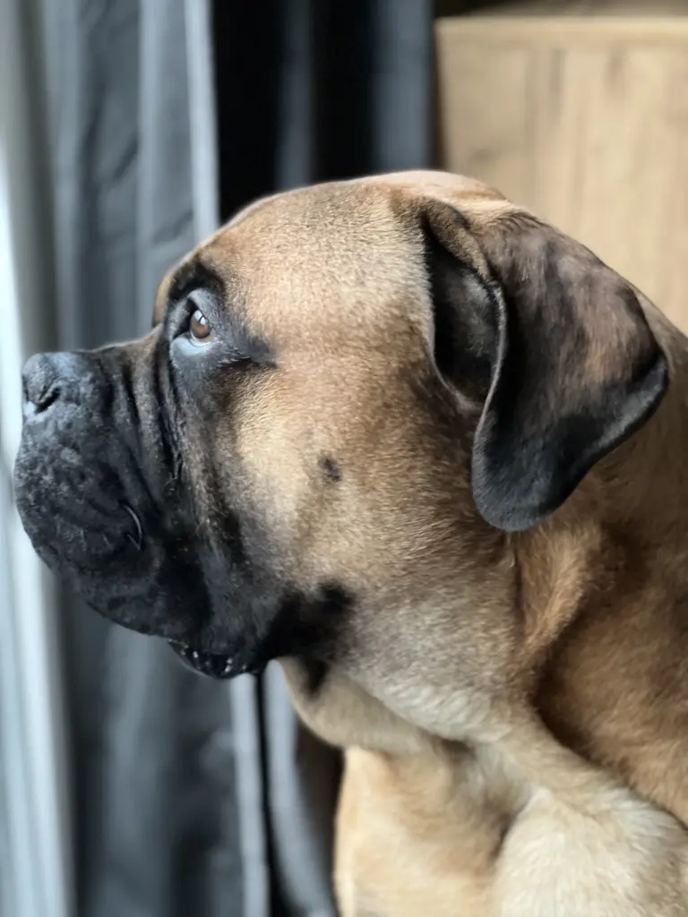 Condolence image of Sabrina