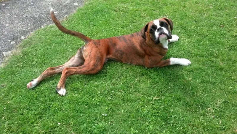 Condolence image of Karina und Jörg mit Floyd im ❤