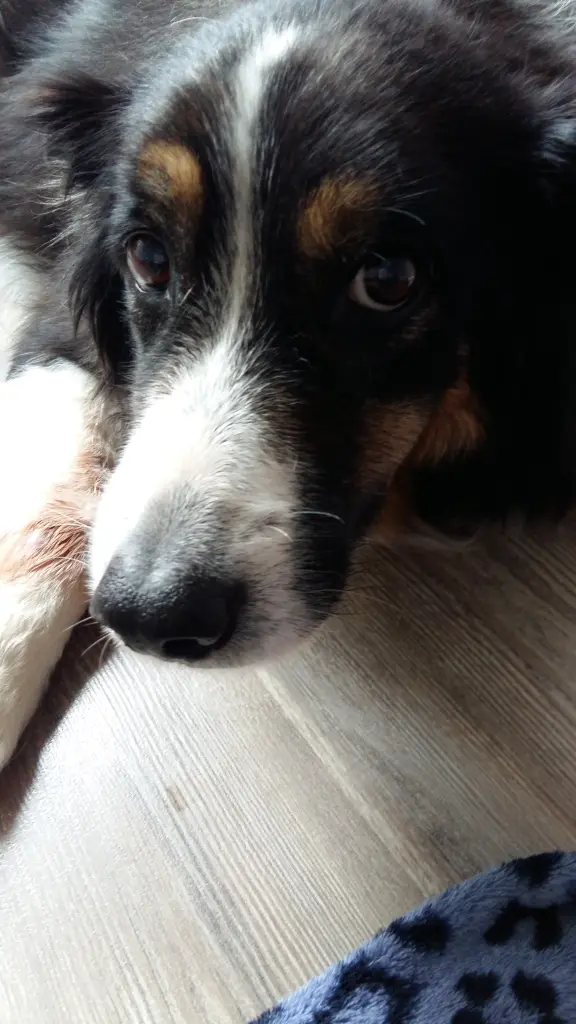 Condolence image of Sophie