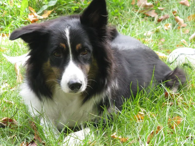 Image from Arwen