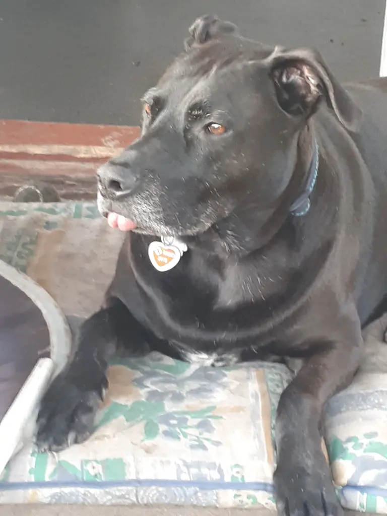 Condolence image of Sabrina