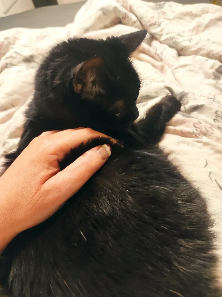 Image from Lucy