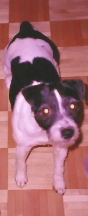 Condolence image of assunta
