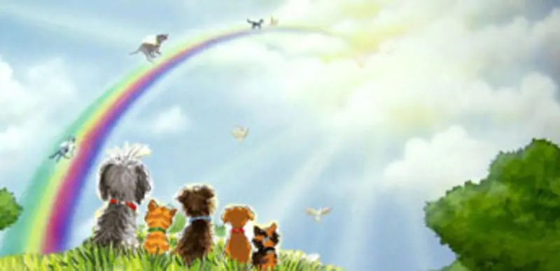 Condolence image of Heike