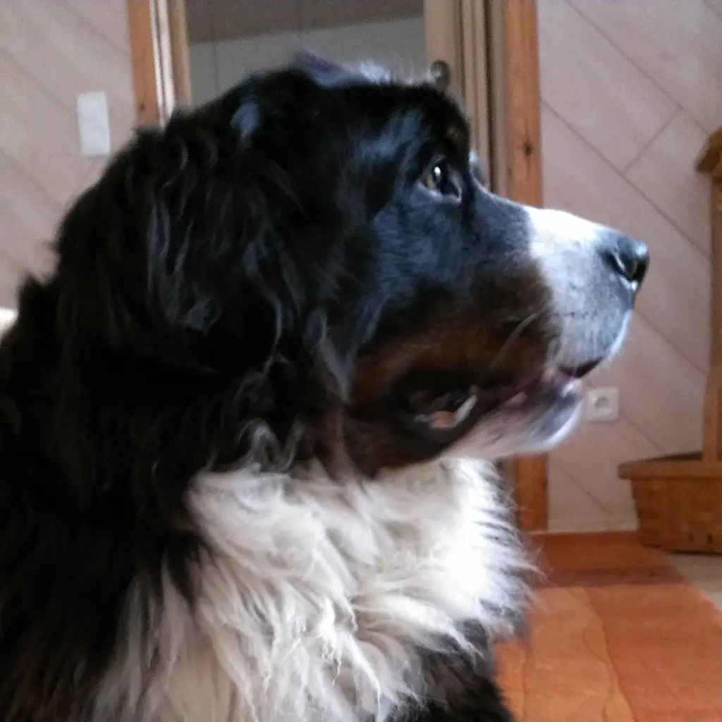Condolence image of Heike