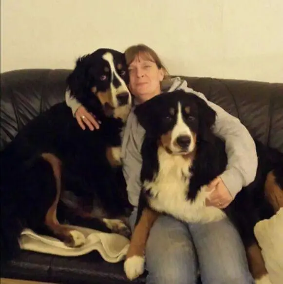 Condolence image of Moni mit Millow