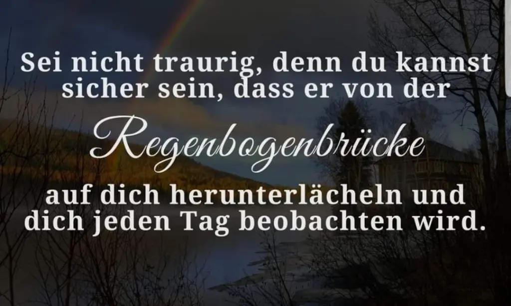 Condolence image of Melanie und Micky
