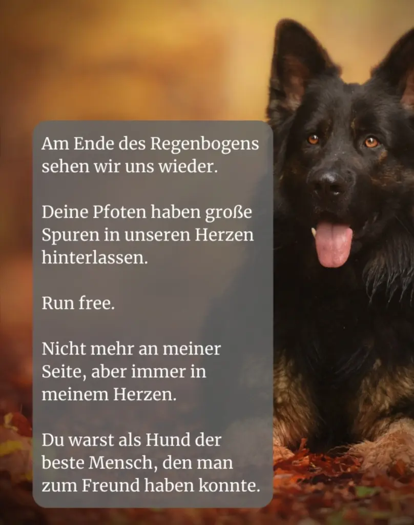 Image from Anka