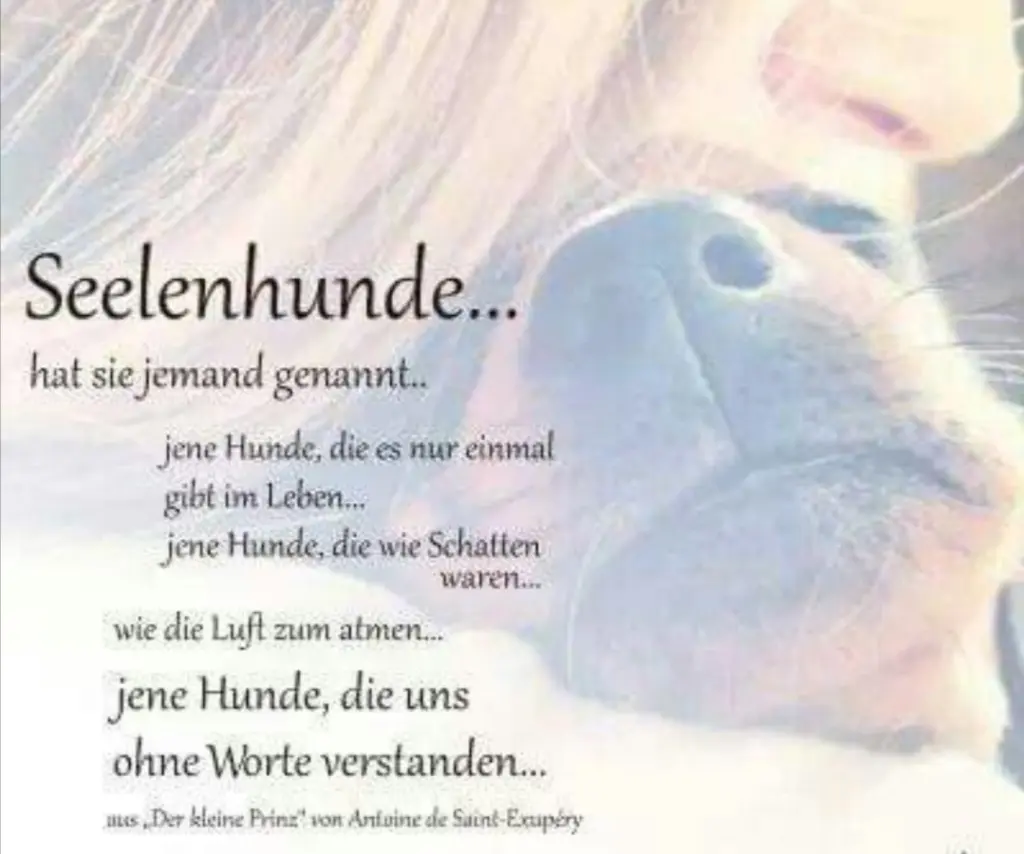 Image from Anka