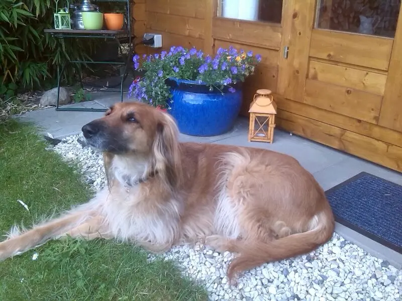 Condolence image of Sabine