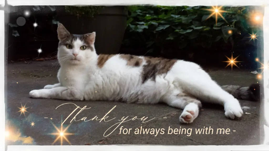 Condolence image of Susanne und Benni