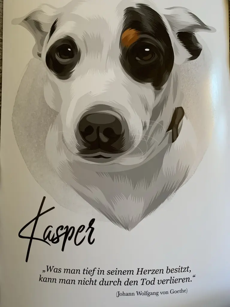 Image from KASPER