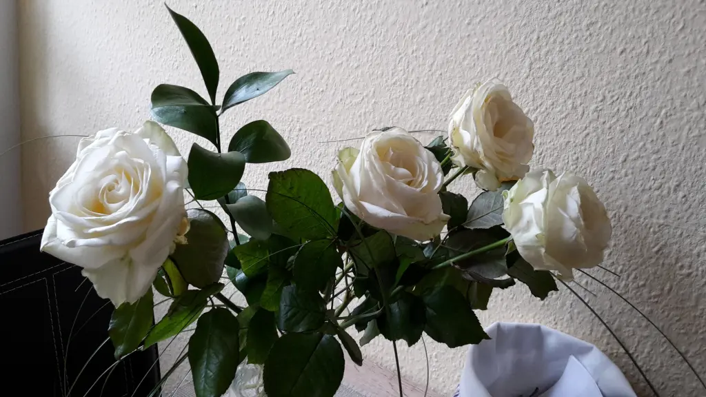 Condolence image of Ute und Mathis mit Nelly tief im Herzen ❤ gest. 26.08.2021