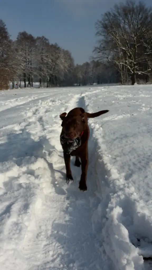 Image from Nelly 