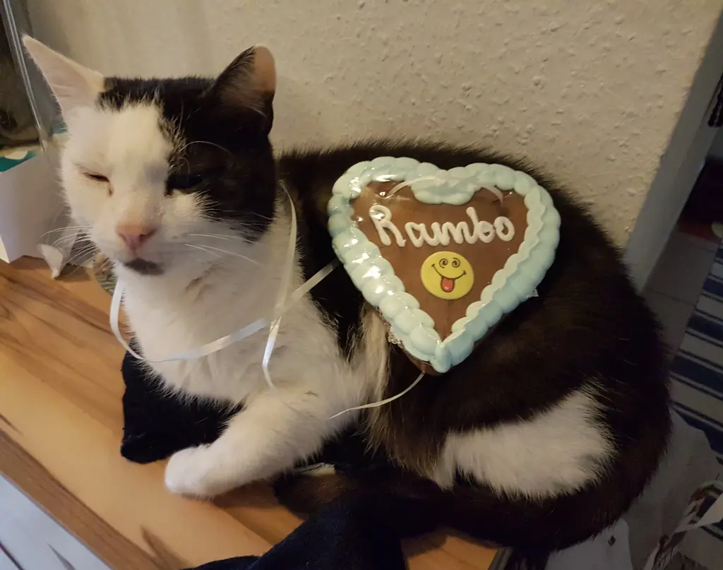 Image from Rambo