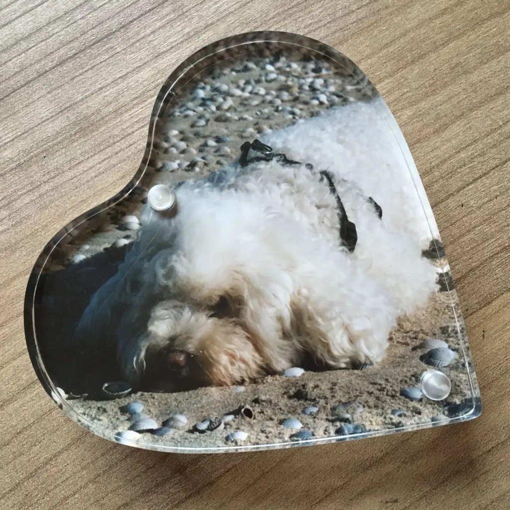 Condolence image of Bettina