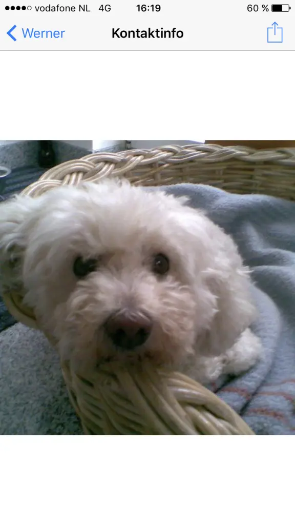 Condolence image of Bettina