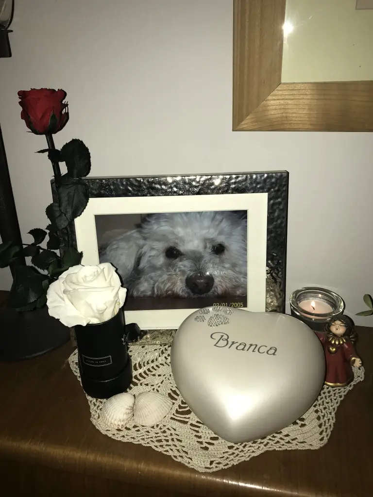 Condolence image of Bettina