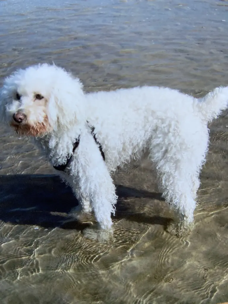 Condolence image of Bettina