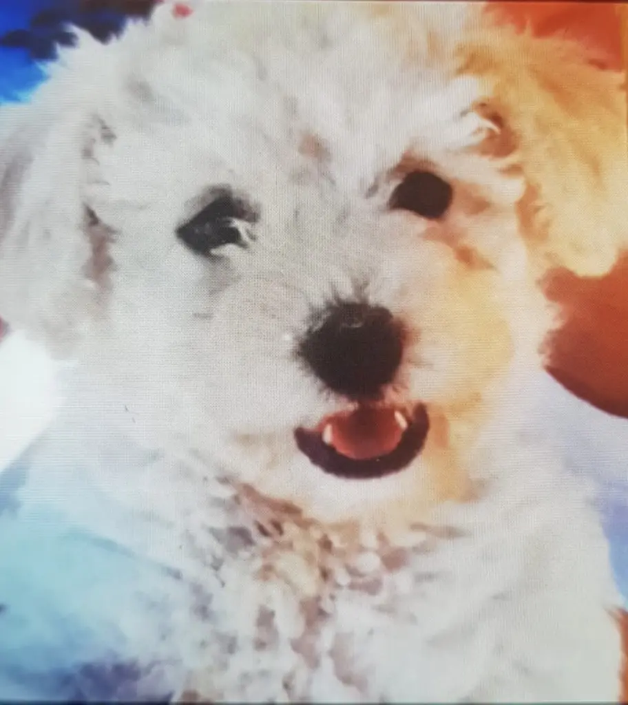 Condolence image of Bettina