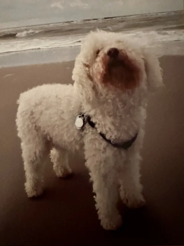 Condolence image of Bettina
