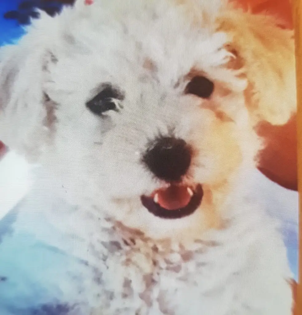 Condolence image of Bettina