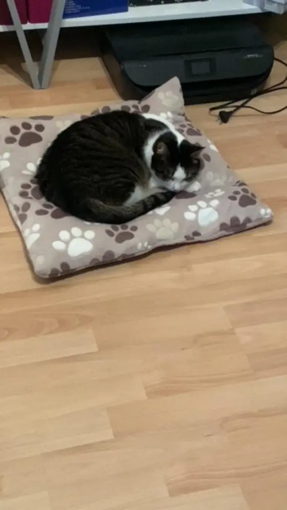 Image from Larry