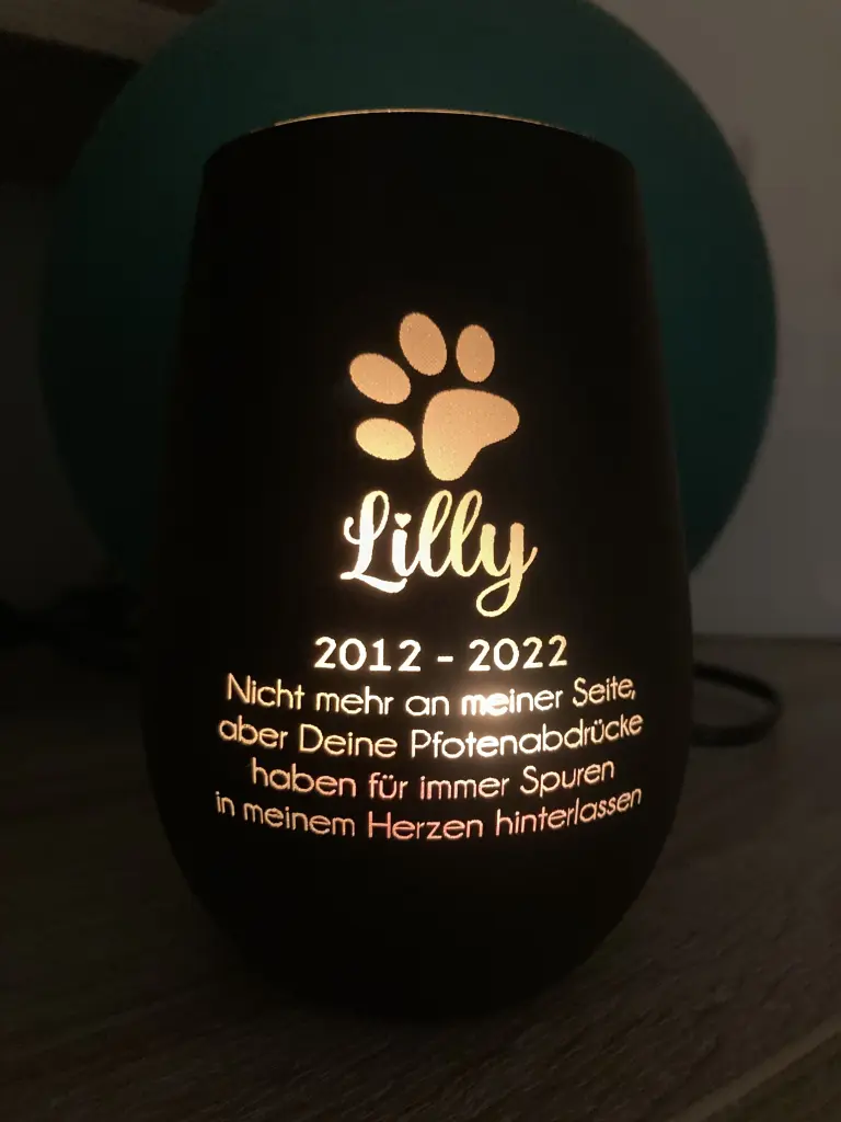Image from Lilly