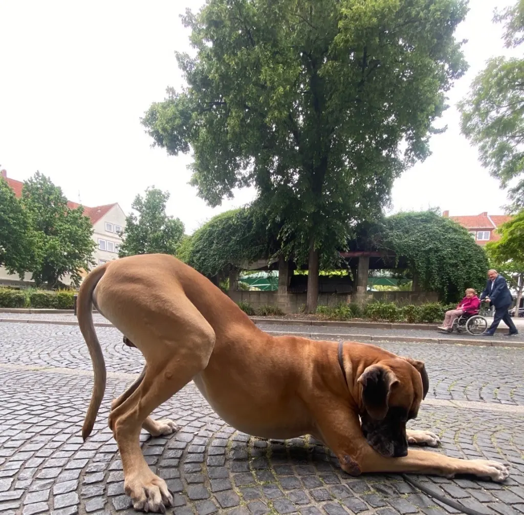 Image from Zeus