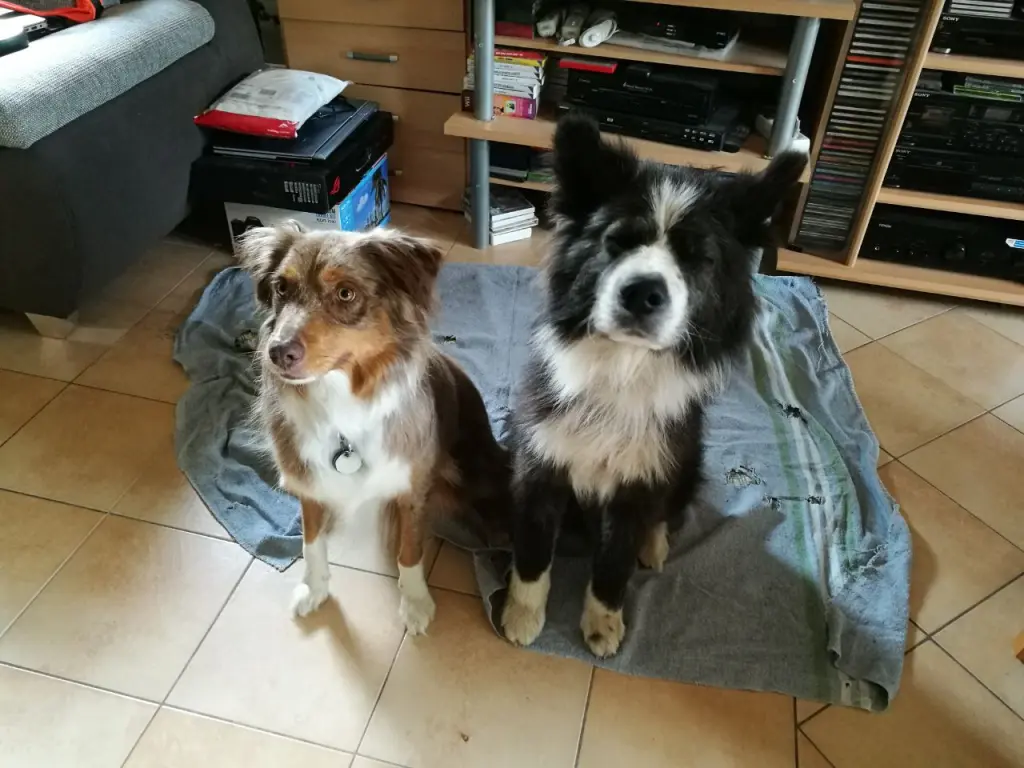 Condolence image of Franziska und Lou