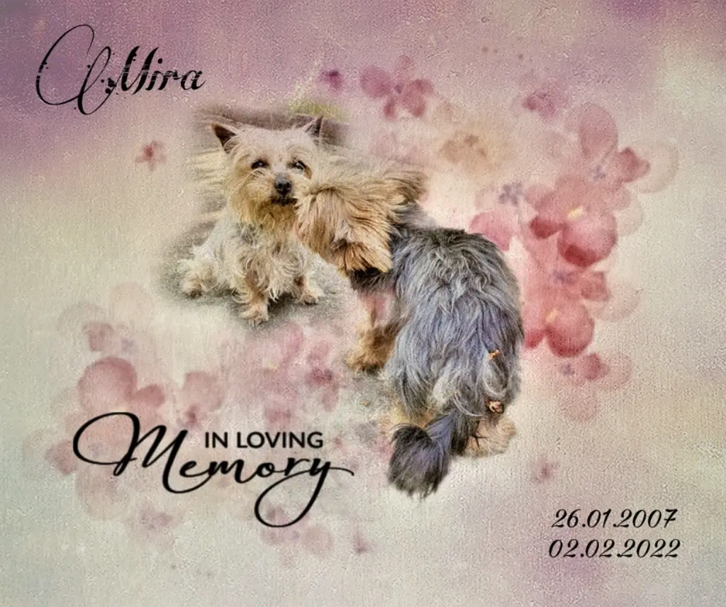 Condolence image of Nadine