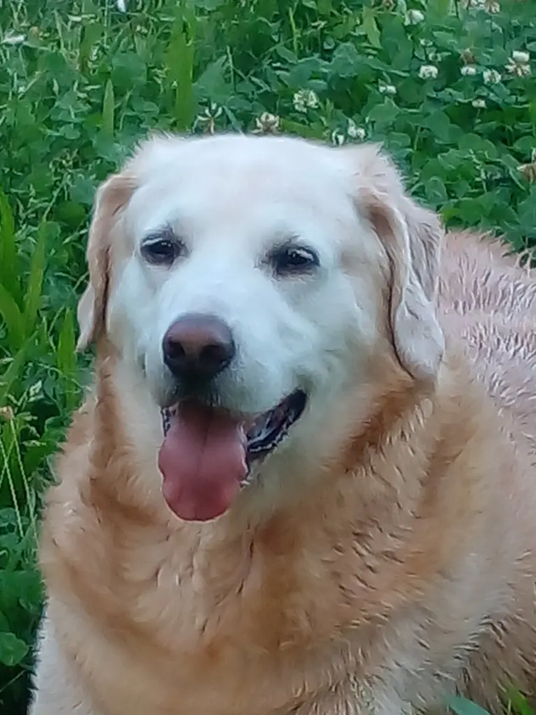 Condolence image of Biljana