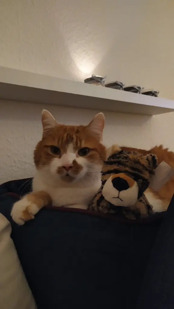 Image from Minou