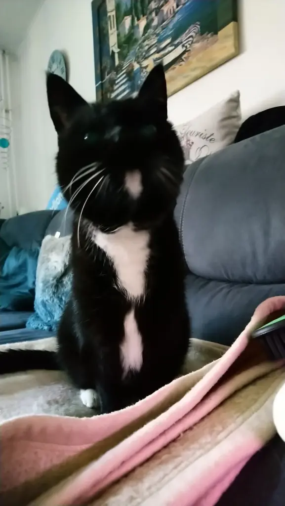 Andachtsbild von Barbara