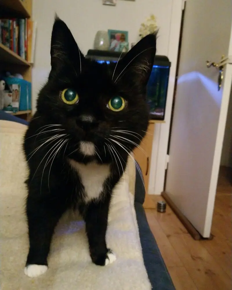 Andachtsbild von Barbara