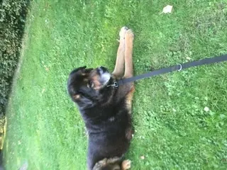 Image from Brutus