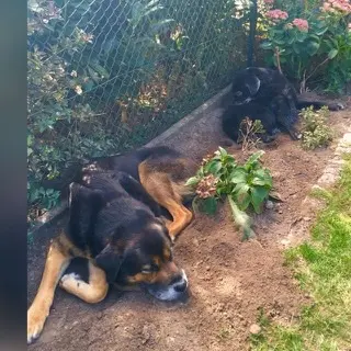 Image from Brutus