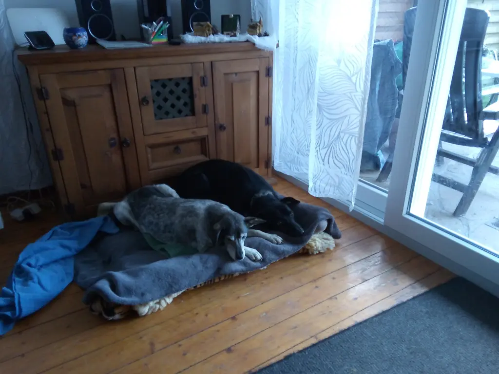 Image from Wickie