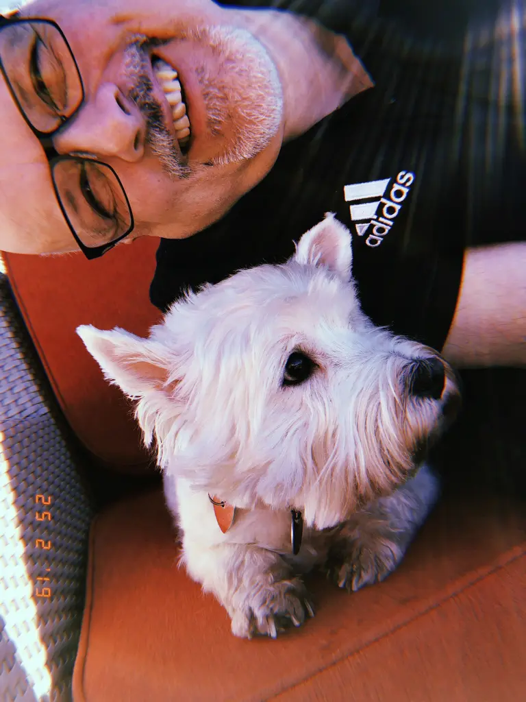 Image from Lucy