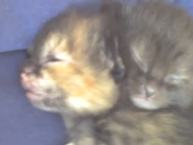 Image from Amy